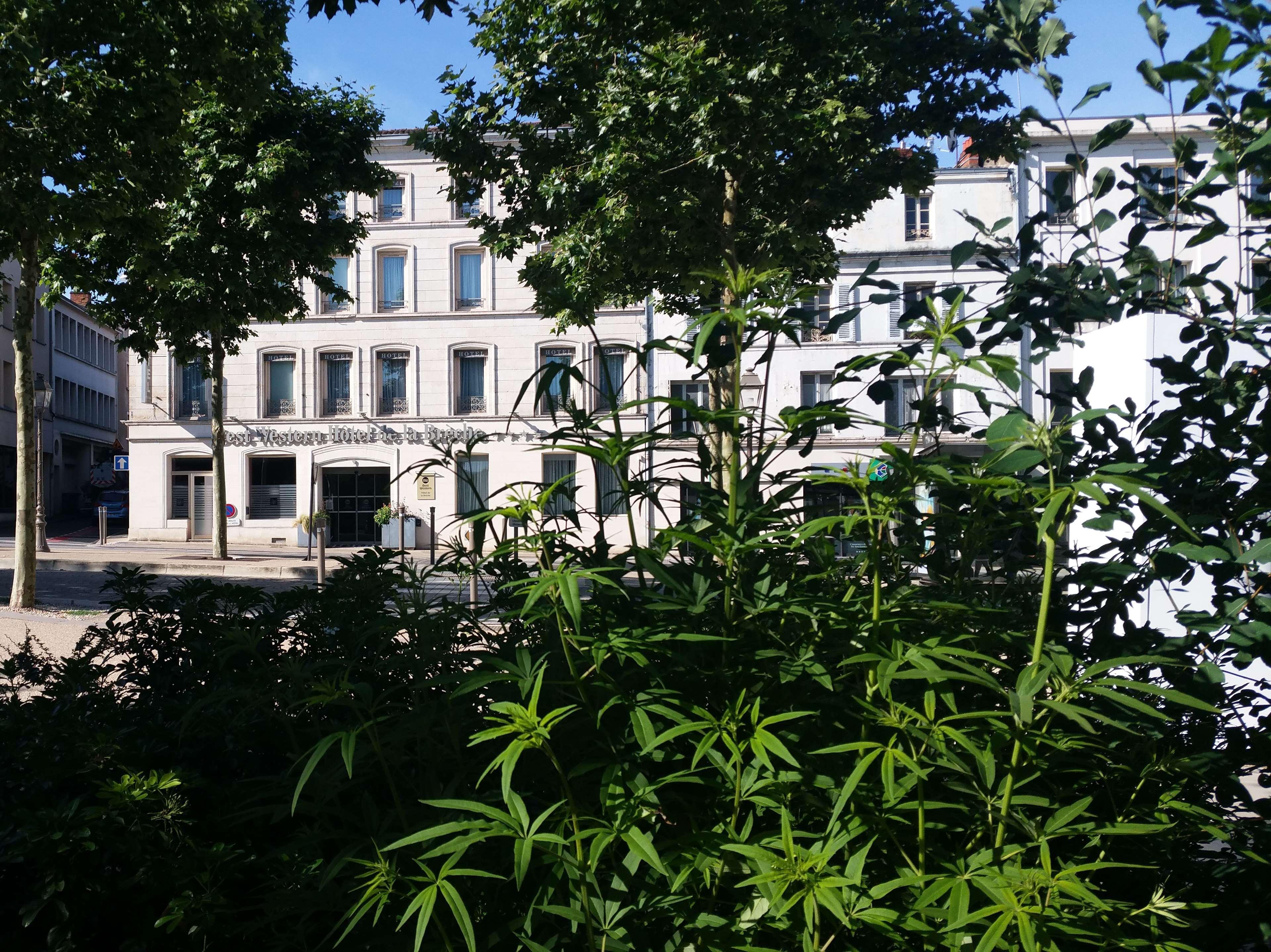 Best Western Hotel De La Breche Niort Exterior foto